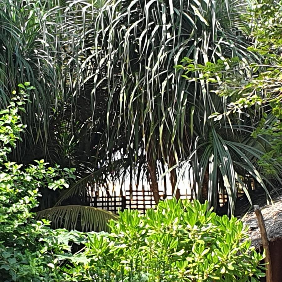 Happy Cocos Beach House Waskaduwa Exterior photo